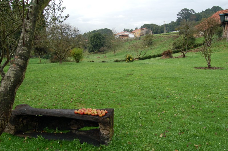 Casa El Carpinteru