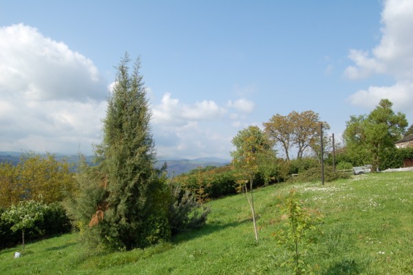 Manxeira