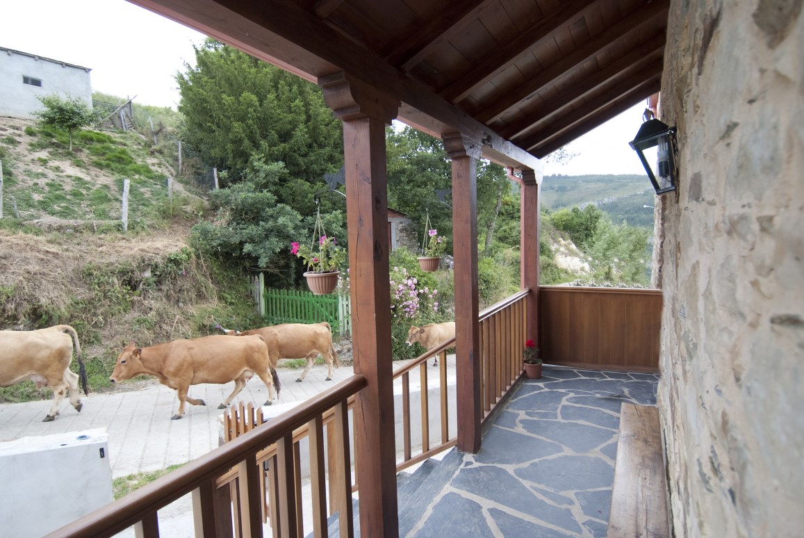 Casa Tía Vicenta