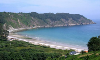 Concha de Artedo