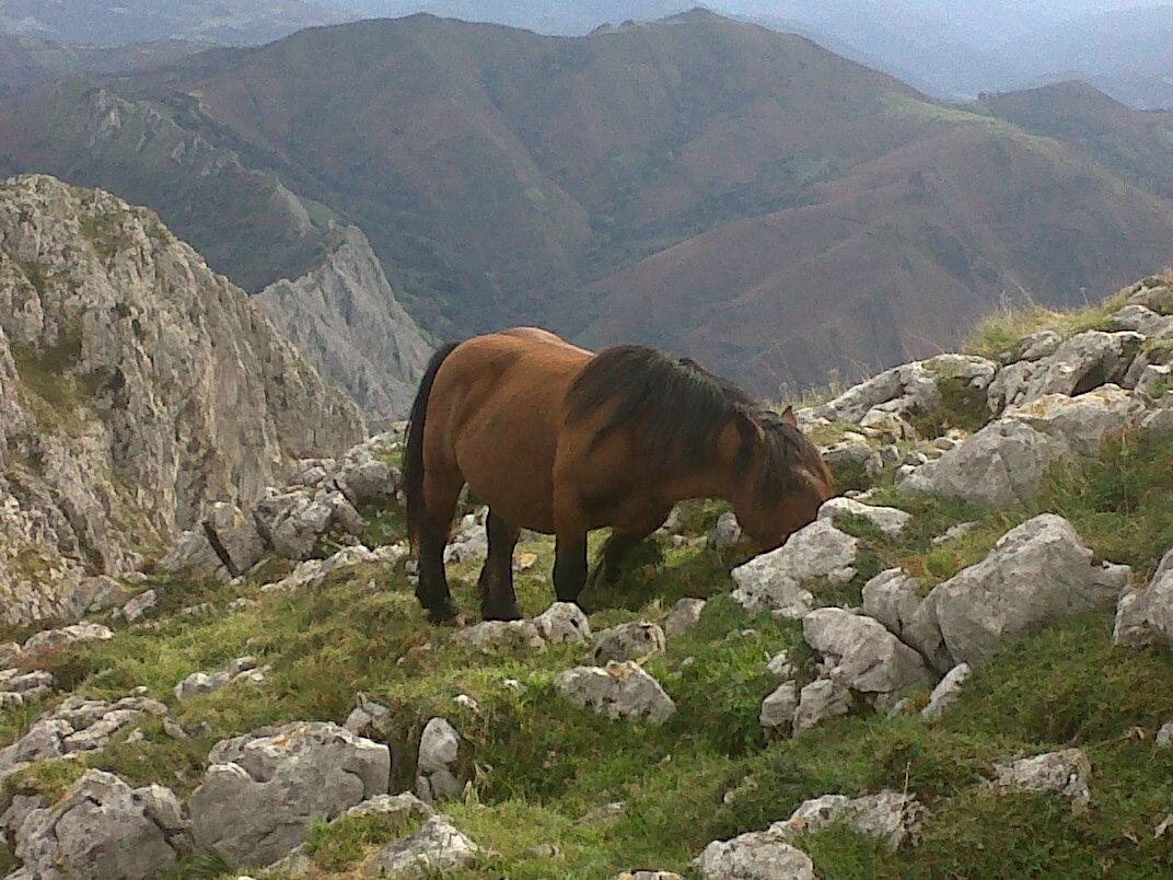 Pico Monsacro