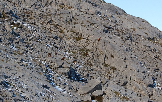 Lago Enol - Vegarredonda - Mirador de Ordiales