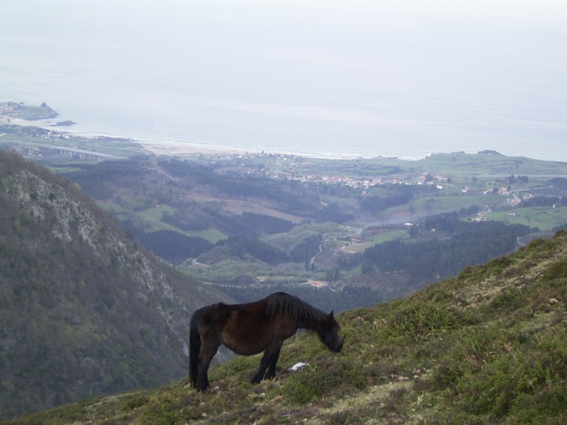Mirador del Fito - Pico Pienzu