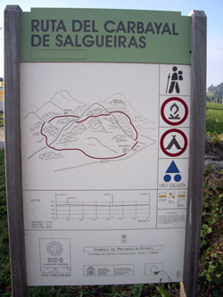 Carbayal de Salgueiras