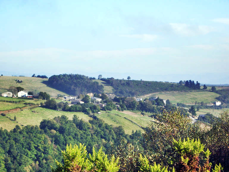 Carbayal de Salgueiras