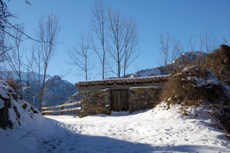 Pendones - Vega Baxu